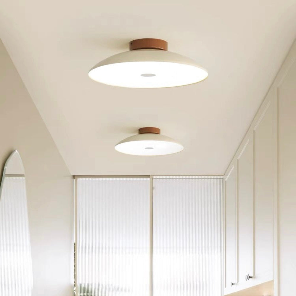 RetroIron – Classic Vintage LED Ceiling Fixture