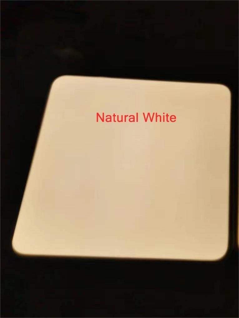 WoodenFrame – Contemporary Dimmable LED Ceiling Fixture